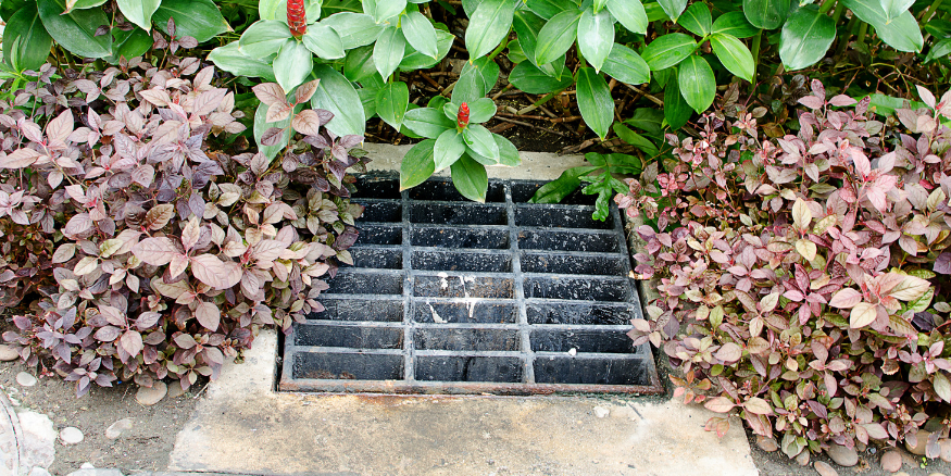 Affordable Plastic Drainage Catch Basins: A Must-Have for Your Business